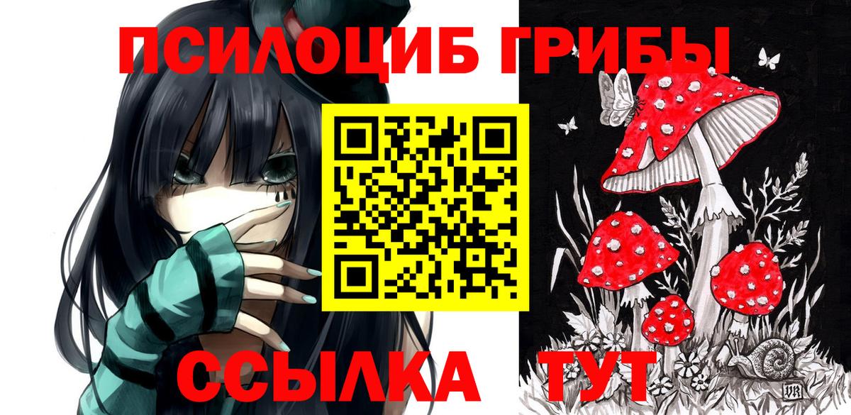 Галлюциногенные грибы MAGIC MUSHROOMS Тверь